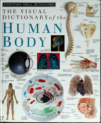 The Visual Dictionary of the Human Body (Eyewitness Visual Dictionaries)