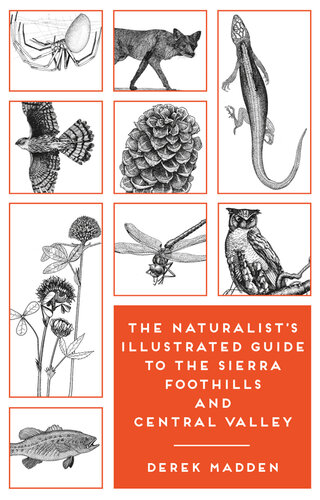 The Naturalist's Illustrated Guide to the Sierra Foothills and Central Valley