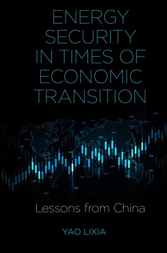 Energy Security in Times of Economic Transition: Lessons From China