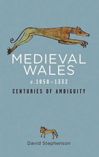 Medieval Wales c. 1050-1332: Centuries of Ambiguity
