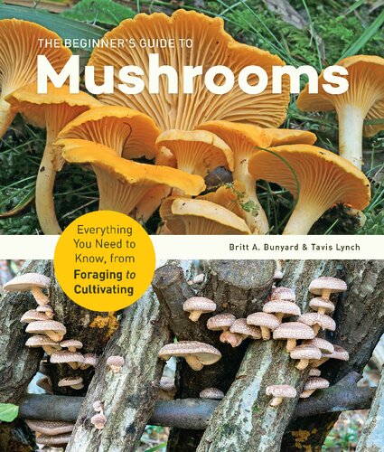 The Beginner's Guide to Mushrooms: Everything You Need to Know, from Foraging to Cultivating