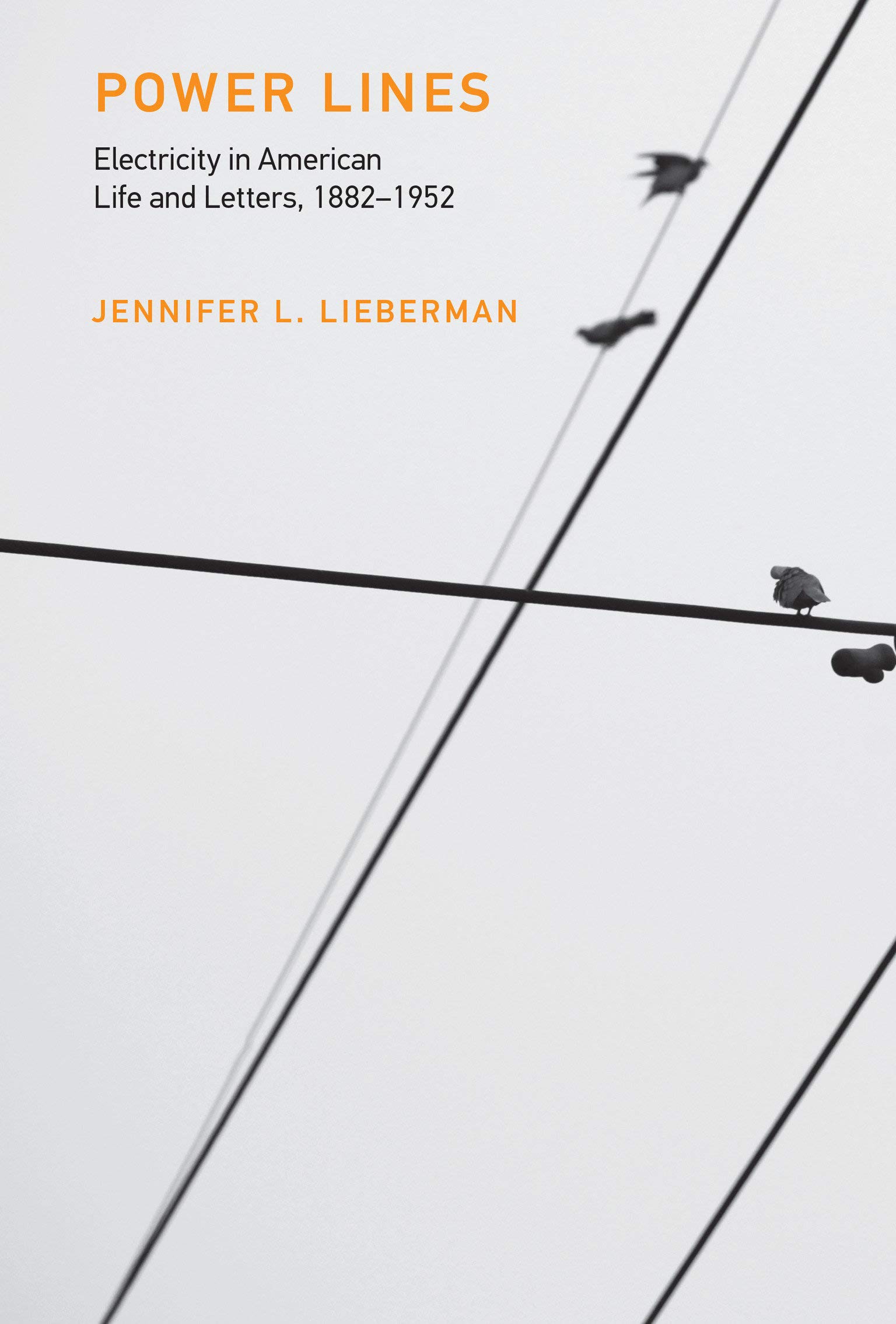 Power Lines: Electricity in American Life and Letters, 1882-1952