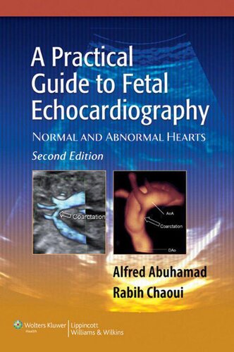 A Practical Guide to Fetal Echocardiography: Normal and Abnormal Hearts (Abuhamad, A Practical Guide to Fetal Echocardiography)
