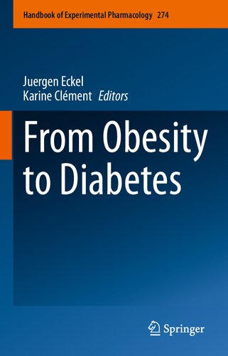 From Obesity to Diabetes