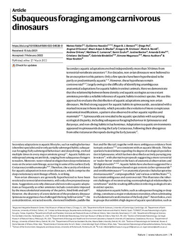 Subaqueous foraging among carnivorous dinosaurs