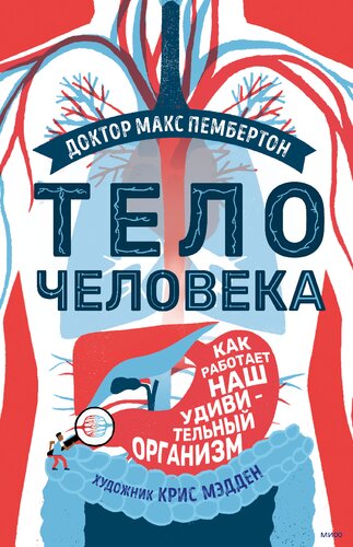 Тело человека. Как работает наш удивительный организм