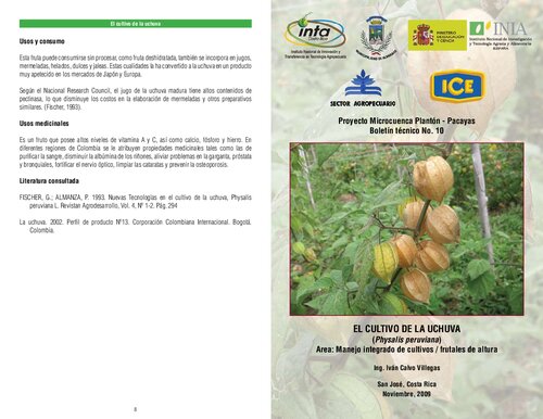Ficha: EL CULTIVO DE LA UCHUVA (Physalis peruviana)