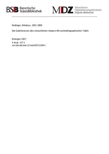 Gelenknerven des menschlichen korpers