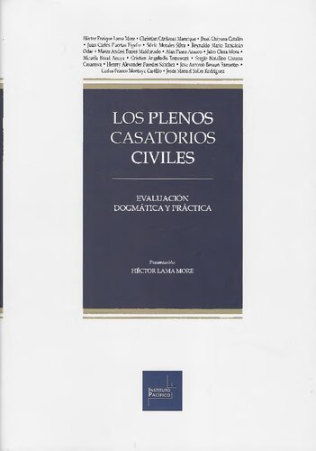 LOS PLENOS CASATORIOS CIVILES