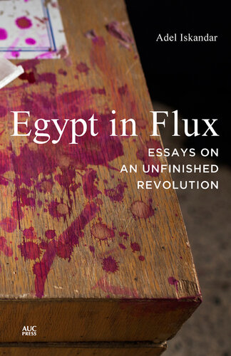 Egypt in Flux: Essays on an Unfinished Revolution