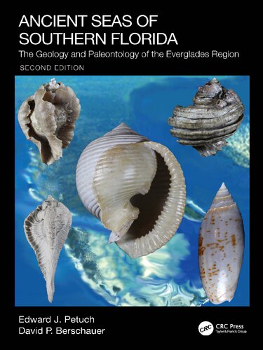 Ancient seas of southern Florida the geology and paleontology of the Everglades region