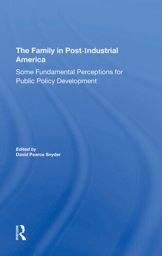 The Family in Postindustrial America: Some Fundamental Perceptions for Public Policy Development