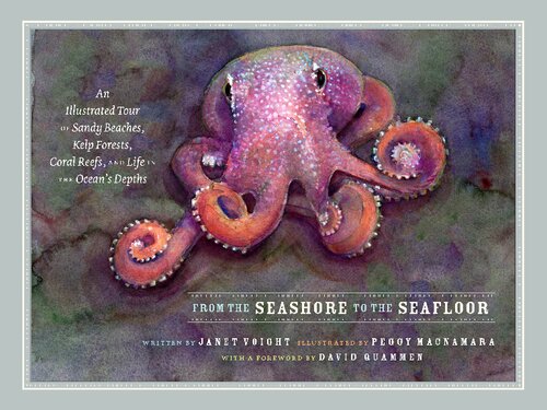 From the Seashore to the Seafloor: An Illustrated Tour of Sandy Beaches, Kelp Forests, Coral Reefs, and Life in the Ocean