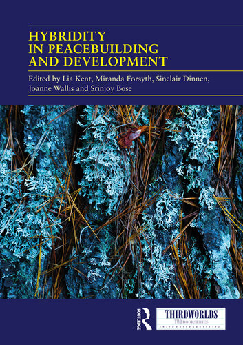 Hybridity in Peacebuilding and Development: A Critical and Reflexive Approach