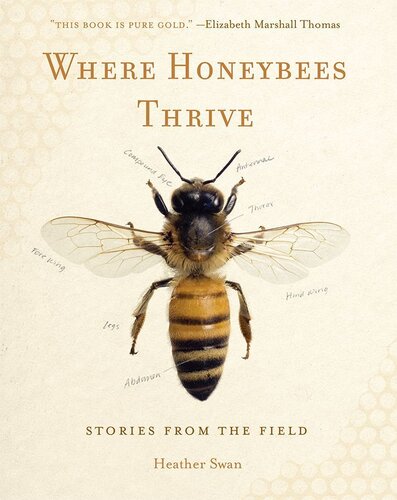 Where Honeybees Thrive: Stories from the Field