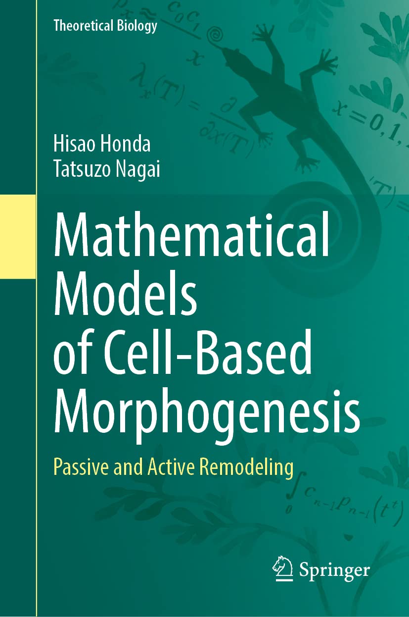 Mathematical Models of Cell-Based Morphogenesis: Passive and Active Remodeling