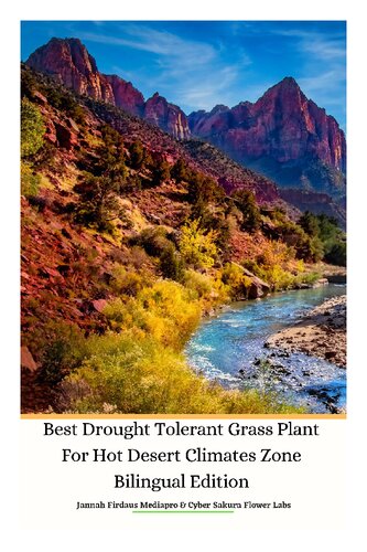 Best Drought Tolerant Grass Plant For Hot Desert Climates Zone Bilingual Edition