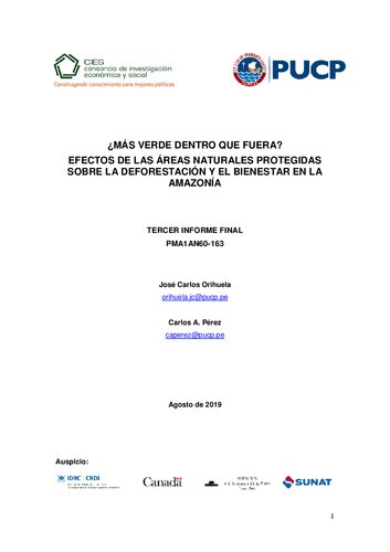 ¿Más verde dentro que fuera? Efectos de las áreas naturales protegidas sobre la deforestación y el bienestar en la amazonía (Perú)