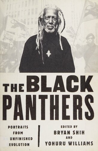 The Black Panthers : Portraits from an Unfinished Revolution