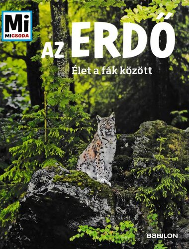 Az erdő – Élet a fák között