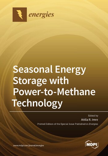 Seasonal Energy Storage with Power-to-Methane Technology
