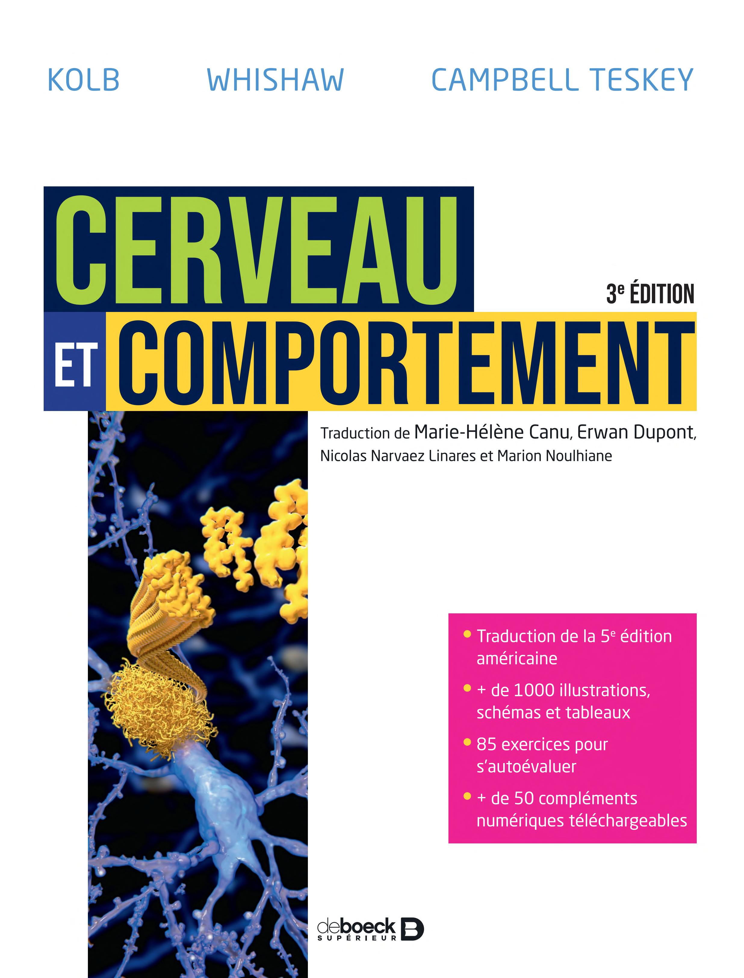 Cerveau et comportement