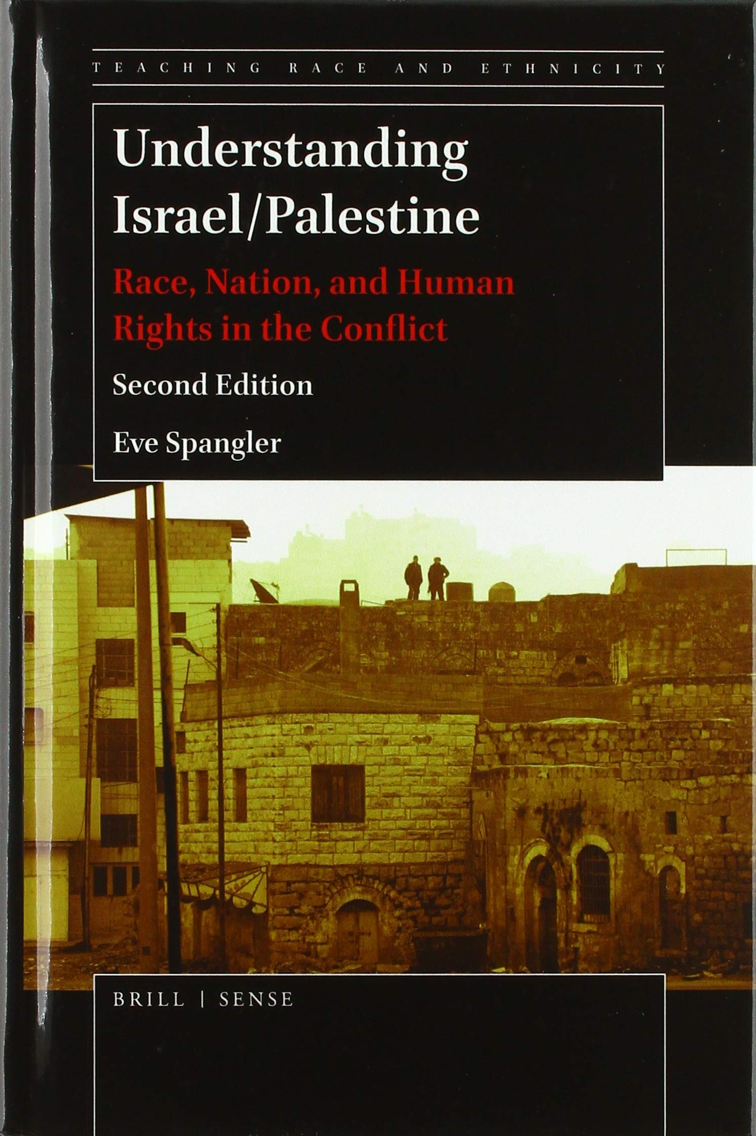 Understanding Israel/Palestine: Race, Nation, and Human Rights in the Conflict