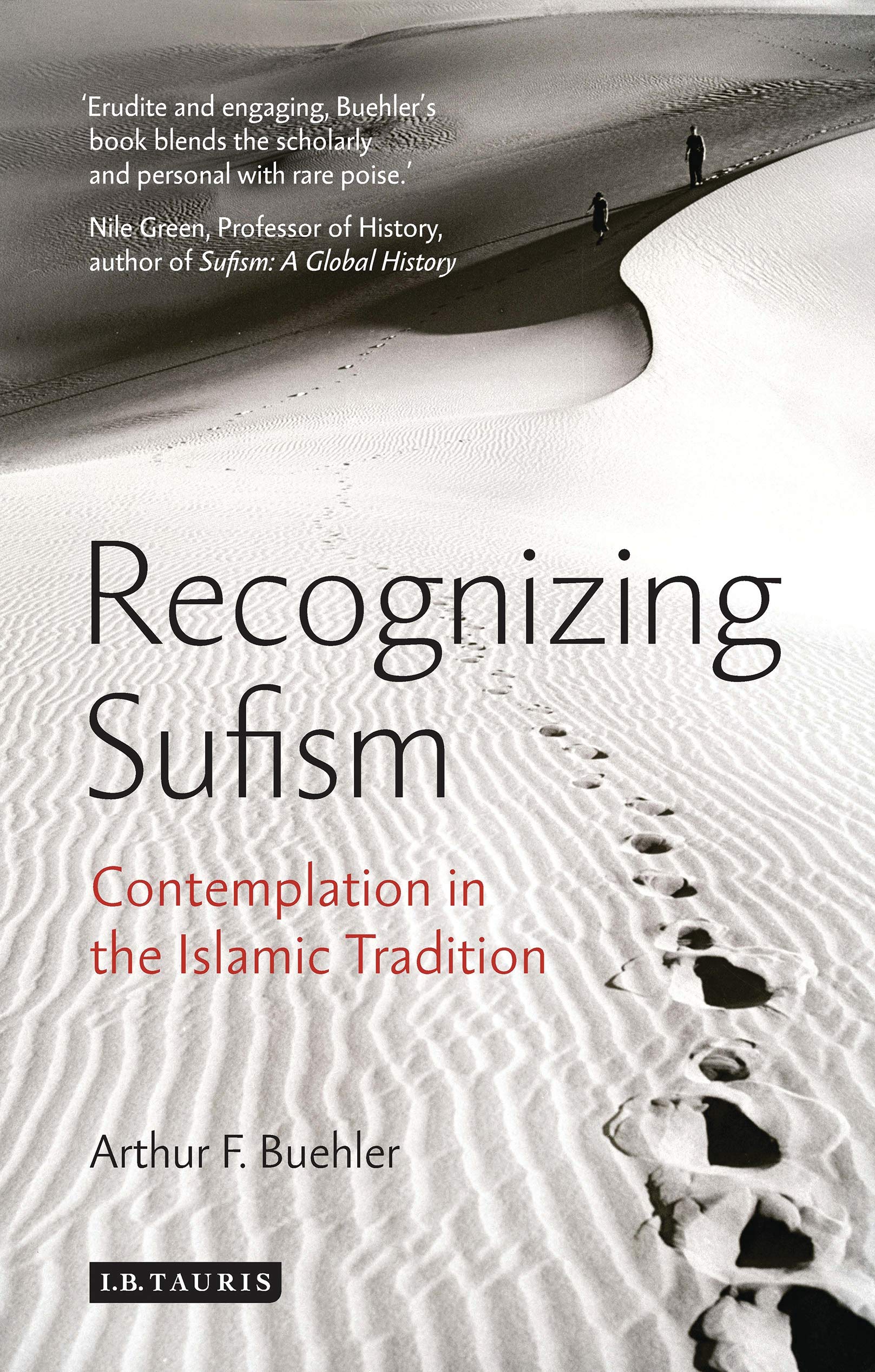 Recognizing Sufism: Contemplation in the Islamic Tradition (Library of Modern Religion)