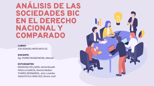 ANALISIS DE LAS SOCIEDADES BIC EN EL PERÚ Y LATINOAMÉRICA (DERECHO COMPARADO)