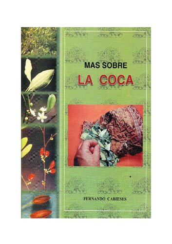 Más sobre la coca (Erythroxylum coca)