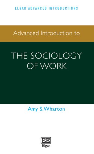 Advanced Introduction to the Sociology of Work