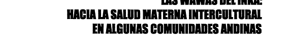 Las wawas del Inka: hacia la salud materna intercultural en algunas comunidades andinas