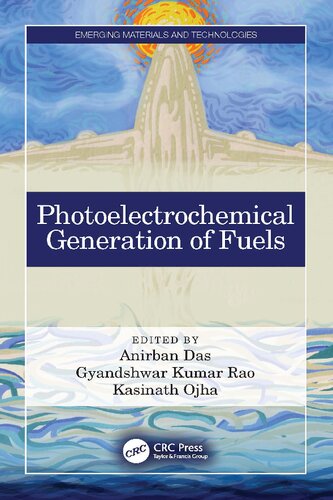 Photoelectrochemical Generation of Fuels