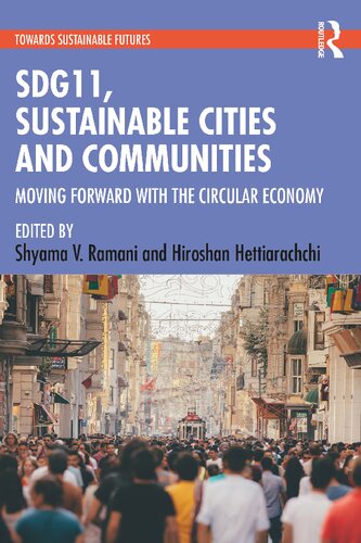 SDG 11 Sustainable Cities and Communities: Moving Forward with the Circular Economy