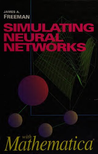 Simulating Neural Networks