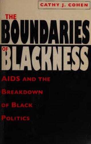 The boundaries of blackness : AIDS and the breakdown of Black politics