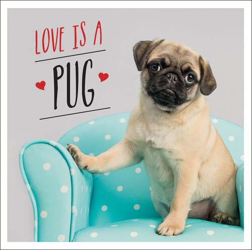 Love is a Pug: A Pugtastic Celebration of The World's Cutest Dogs