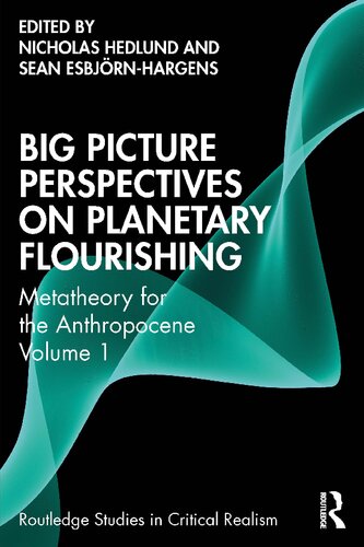 Big Picture Perspectives on Planetary Flourishing: Metatheory for the Anthropocene, Volume 1
