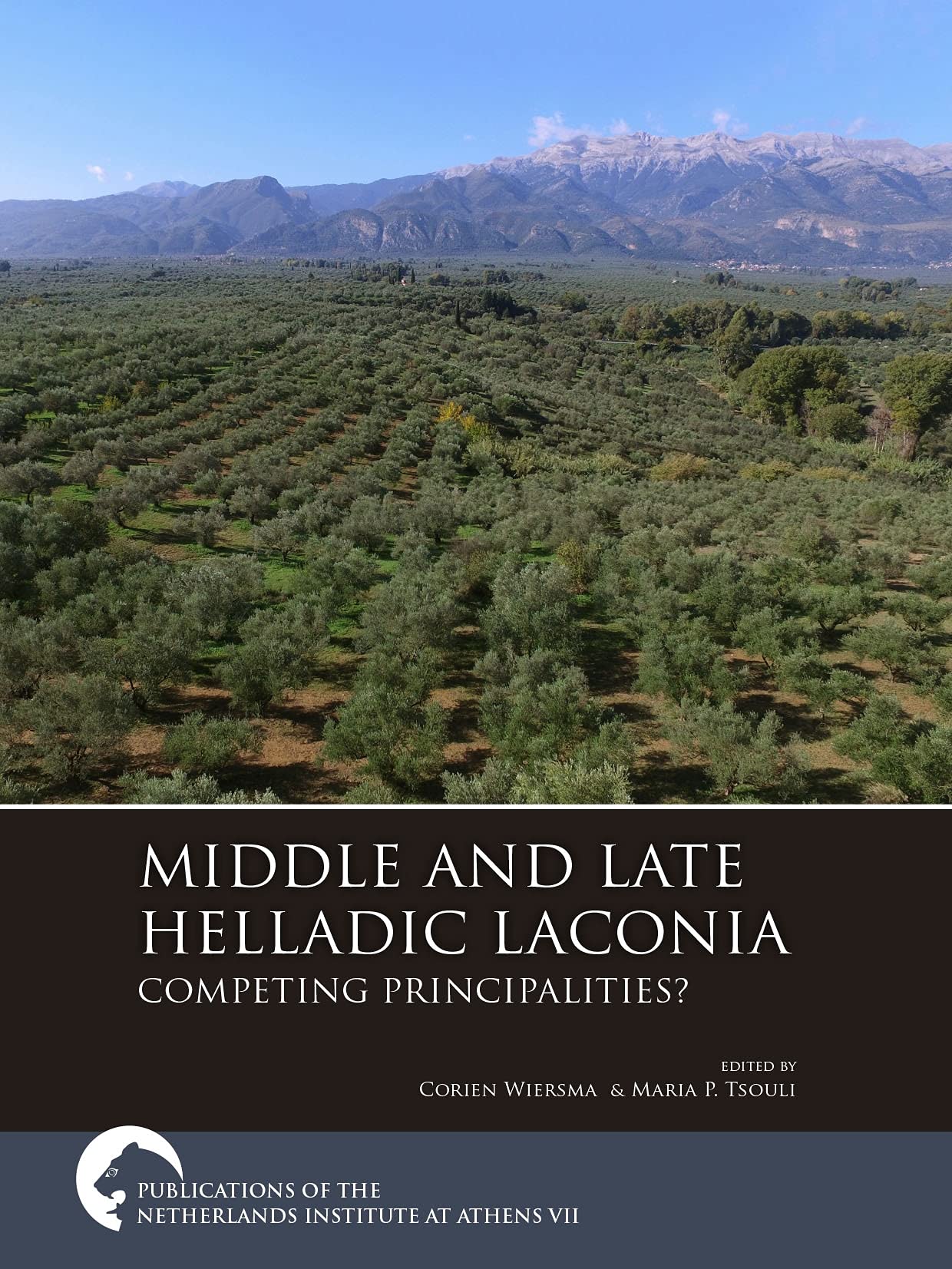 Middle and Late Helladic Laconia: Competing principalities? (Publications of the Netherlands Institute at Athens)