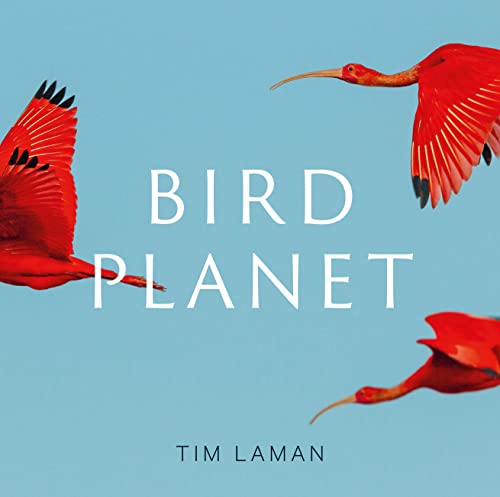 Bird Planet: A Photographic Journey