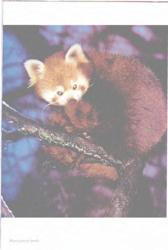 The Living Planet: A Portrait of the Earth