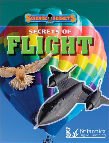 Secrets of Flight