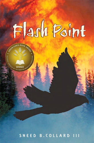 Flash Point