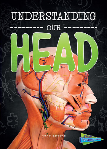 Understanding Our Head