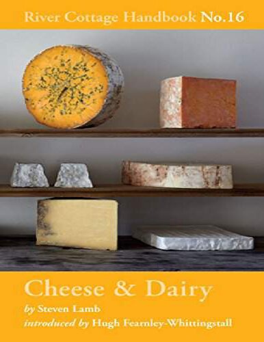 Cheese & Dairy: River Cottage Handbook No.16 Steven Lamb Hugh, Fearnley-Whittingstall