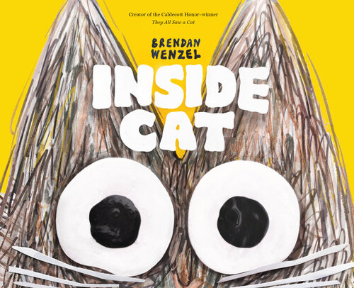 Inside Cat