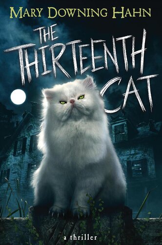 The Thirteenth Cat