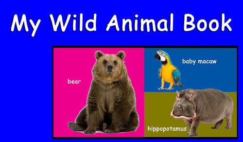 My Wild Animal Book
