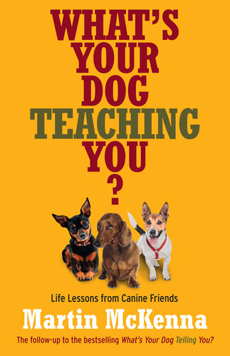 What's Your Dog Teaching You?