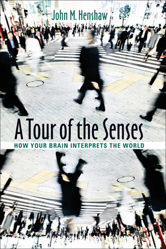A Tour of the Senses: How Your Brain Interprets the World